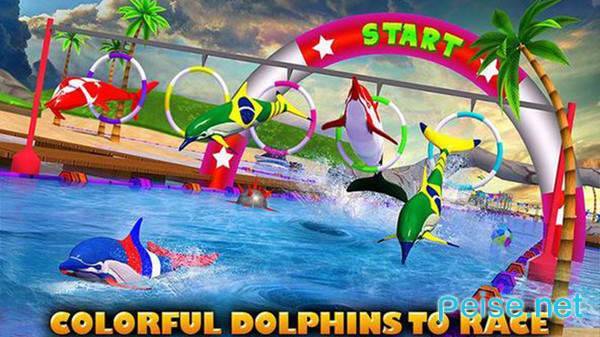 海豚比赛3D版图1