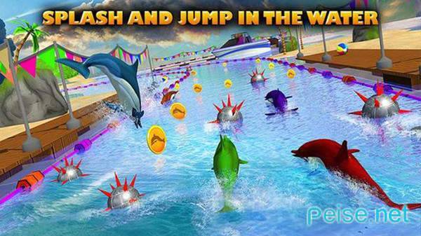 海豚比赛3D版图3