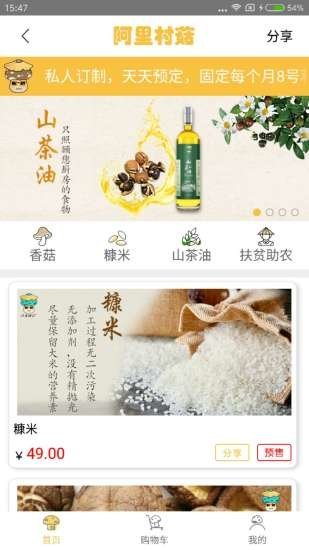 阿里村菇图1