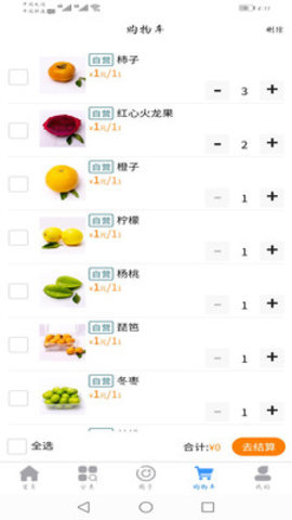一马领鲜图2