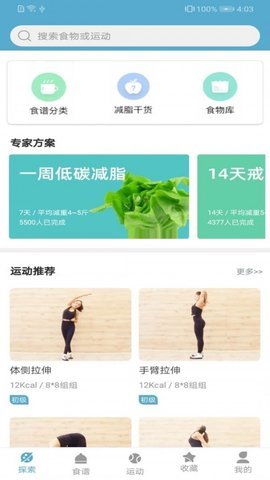 莱盛图3