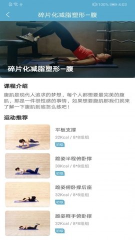 莱盛图4
