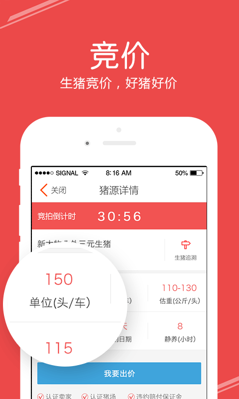 猪交所图3