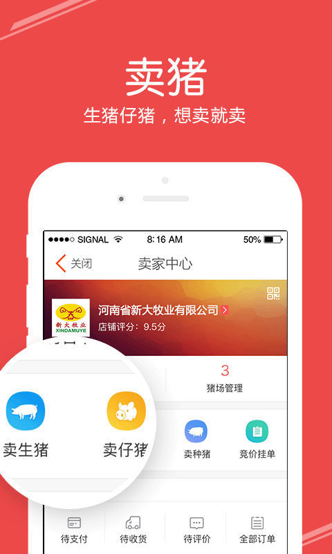 猪交所图2