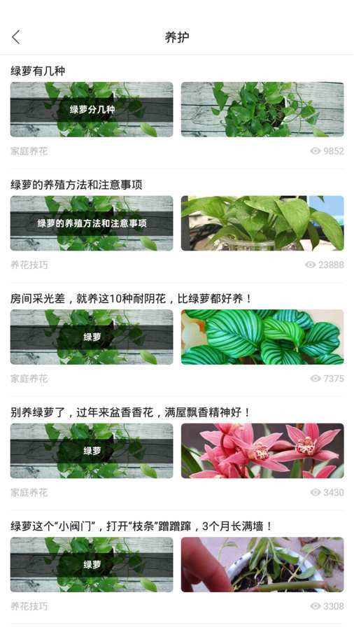 百花卉图3