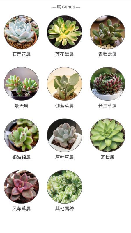 多肉植物陪护记手机版图3