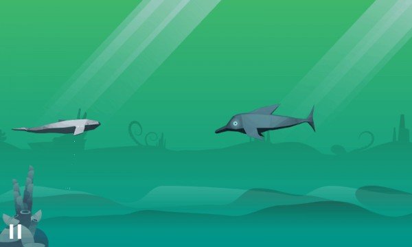鲸鱼跑酷游戏官方版图3