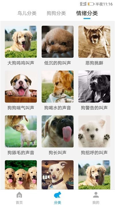 万能动物翻译器中文版图2