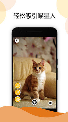 猫咪相机app图3