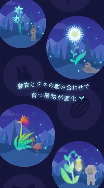 夜之森图3