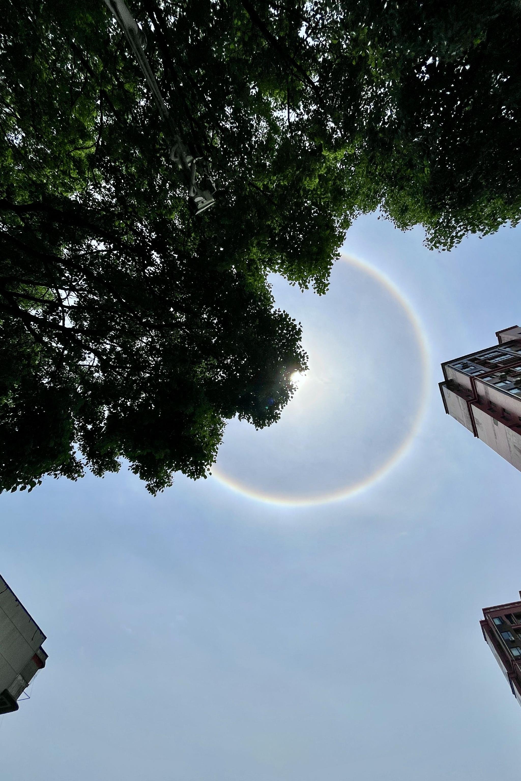 武汉的日晕是一圈彩虹图5