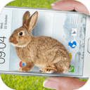 手机养兔子软件