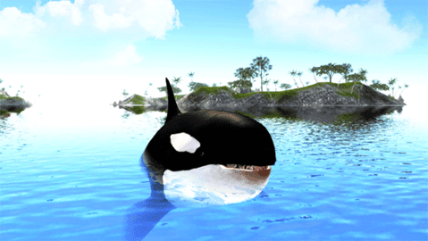 虎鲸模拟器图3