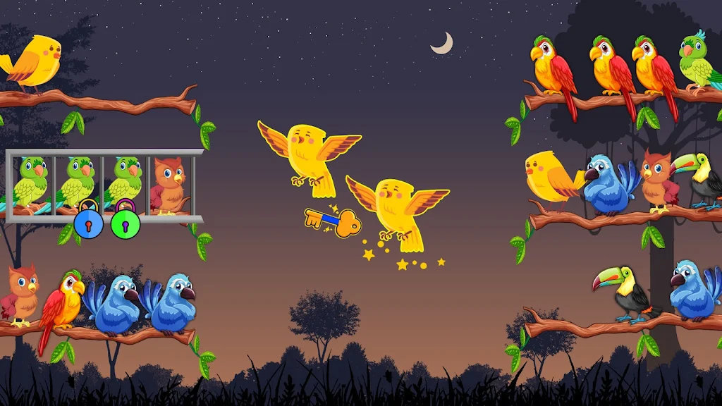鸟排序彩色益智游戏3D图3