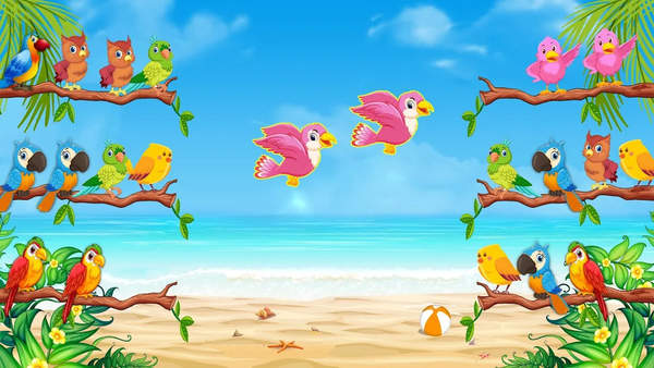 鸟排序彩色益智游戏3D